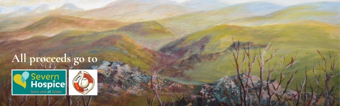 Shropshire Artist’s Paintings to be Sold in Timed Auction for Charity